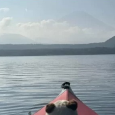 本栖湖上で漂う時間のイメージ